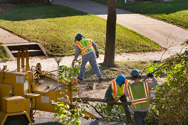 Best Seasonal Cleanup  in Kenwood Estates, FL